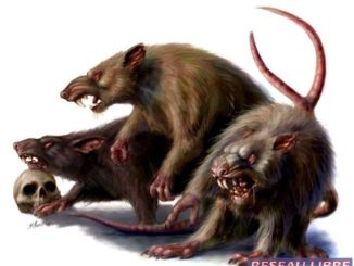 rats.jpg