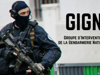 gign.jpg