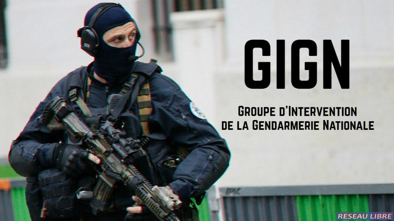 gign.jpg